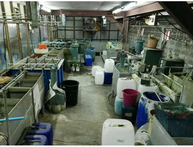 ขายเครื่องชุบไฟฟ้า ถังชุบแขวน ถังชุบกลิ้ง ตู้ไฟ และอุปกรณ์การชุบยกชุด ตั้งแต่ขัดผิวถึงอบแห้ง ขายเครื่องชุบไฟฟ้า ถังชุบแขวน ถังชุบกลิ้ง ตู้ไฟ และอุปกรณ์การชุบยกชุด ตั้งแต่ขัดผิวถึงอบแห้ง