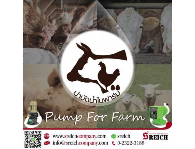 ปั๊มโดสเติมคลอรีน สารละลาย เพื่อการฆ่าเชื้อในฟาร์ม ปั๊มโดสเติมคลอรีน สารละลาย เพื่อการฆ่าเชื้อในฟาร์ม