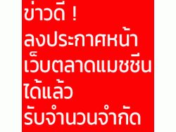 ข่าวดี ! ลงประกาศหน้าแรก พรีเมี่ยม เว็บตลาดแมชชีนได้ แล้ว รับจำนวนจำกัด 