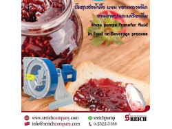 ปั๊มโฮสสูบส่งของเหลวหนืด Hose pump food grade with FDA material