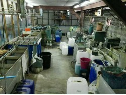 ขายเครื่องชุบไฟฟ้า ถังชุบแขวน ถังชุบกลิ้ง ตู้ไฟ และอุปกรณ์การชุบยกชุด ตั้งแต่ขัดผิวถึงอบแห้ง ขายเครื่องชุบไฟฟ้า ถังชุบแขวน ถังชุบกลิ้ง ตู้ไฟ และอุปกรณ์การชุบยกชุด ตั้งแต่ขัดผิวถึงอบแห้ง