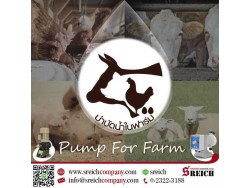 ปั๊มจ่ายสารละลาย โดสคลอรีน ฟีดวิตามิน เติมวัคซีนจุลินทรีย์ สำหรับฟาร์มปศุสัตว์