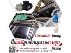 Circulate pumps CTM ปั๊มสูบส่งเคมีหมุนวนในบ่อเพื่อกระบวนการชุบ เคลือบ