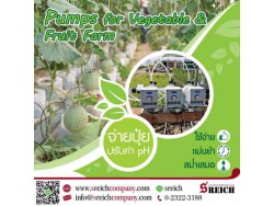 Dosing pump ปั๊มจ่ายปุ๋ยในระบบน้ำแก่พืชผล ผัก อย่างมีประสิทธิภาพ 