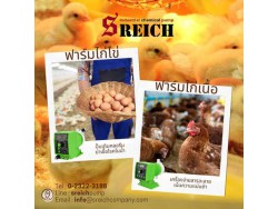 ฟาร์มไก่ไข่ ฟาร์มไก่เนื้อ ดูแลน้ำเลี้ยงไก่ด้วยการเติมคลอรีนฆ่าเชื้ออย่างระมัดระวัง