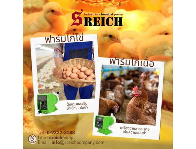 จำหน่ายปั๊มเติมคลอรีนเพื่อฆ่าเชื้อโรคในน้ำ