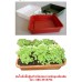 ฉีดพลาสติกทุกชนิด