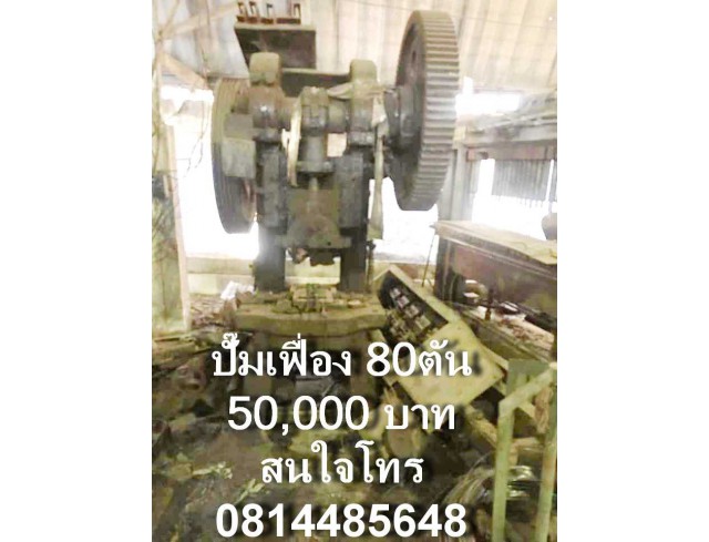 ปั๊มเฟื่อง 80 ตัน 50,000บาท 