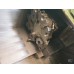CNC หัวจับ8นิ้ว Takamaz
