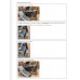 เครื่องเป่าขวด PET กึ่งอัตโนมัติ
