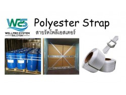 Polyester Strap/สายรัดโพลีเอสเตอร์