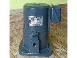 คลูแลนท์ปั๊ม DP-2