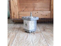 ปั๊ม 1P D 9,2 GAS