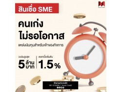 สินเชื่อ 