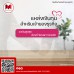 สินเชื่อเพื่อธุรกิจ