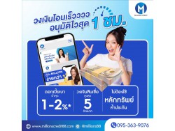 สินเชื่อเพื่อธุรกิจ สินเชื่อsme สินเชื่อOD เงินทุนเจ้าของกิจการ โทร095-3639076