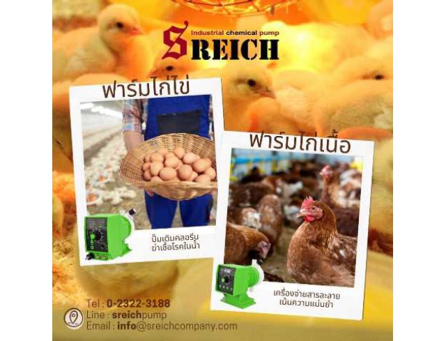จำหน่ายปั๊มเติมคลอรีนเพื่อฆ่าเชื้อโรคในน้ำ