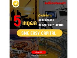 5 เหตุผล เงื่อนไขในการขอสินเชื่อธุรกิจ กับ SME Easy Capital