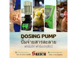 เอส ไรคส์ ขายปั๊มโดส Dosing pump โดสซิ่งปั๊ม สำหรับการจ่ายสารเคมีที่ถูกต้องและแม่นยำ