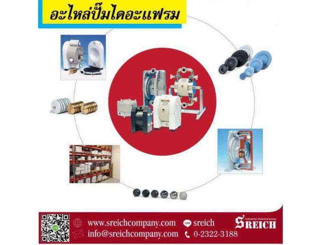 ขายอะไหล่ปั๊มไดอะแฟรมยุโรป spare part Diaphragm Pump