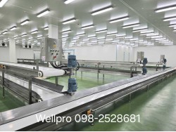 สายพานลำเลียง PVC PU